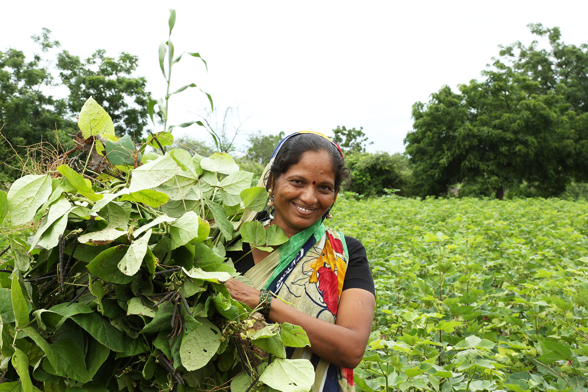 Individual Membership - WISE | Women In Sustainability & Environment